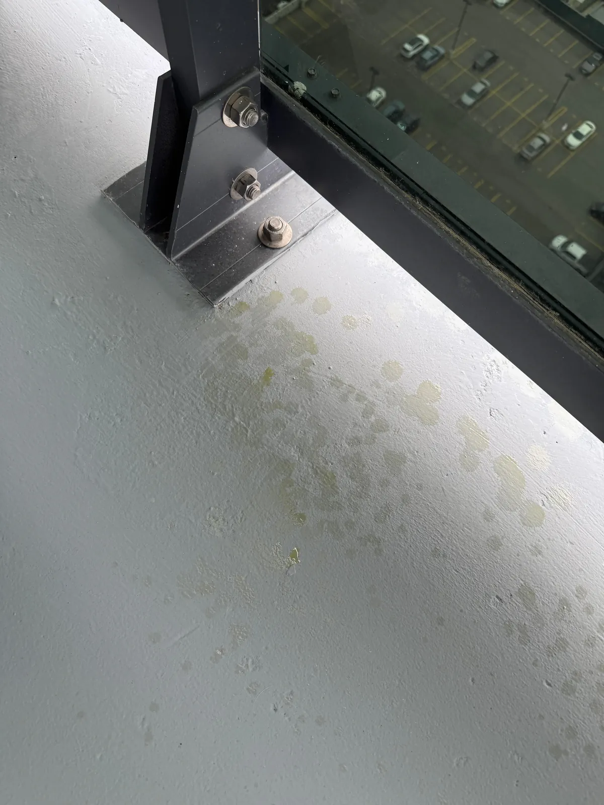 Wanted to enjoy my balcony this morning but…