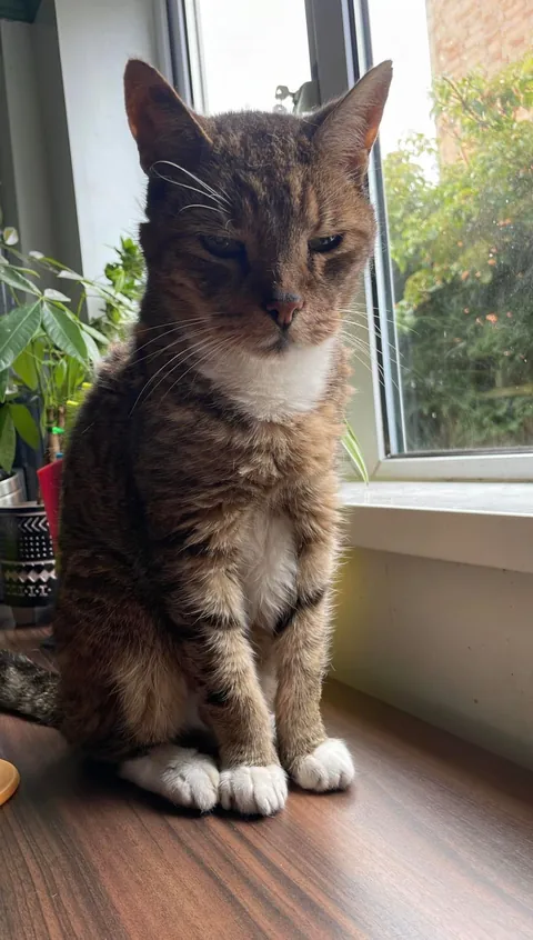 Tribute to my good mate Timmy. 19 years old, and today was his last.