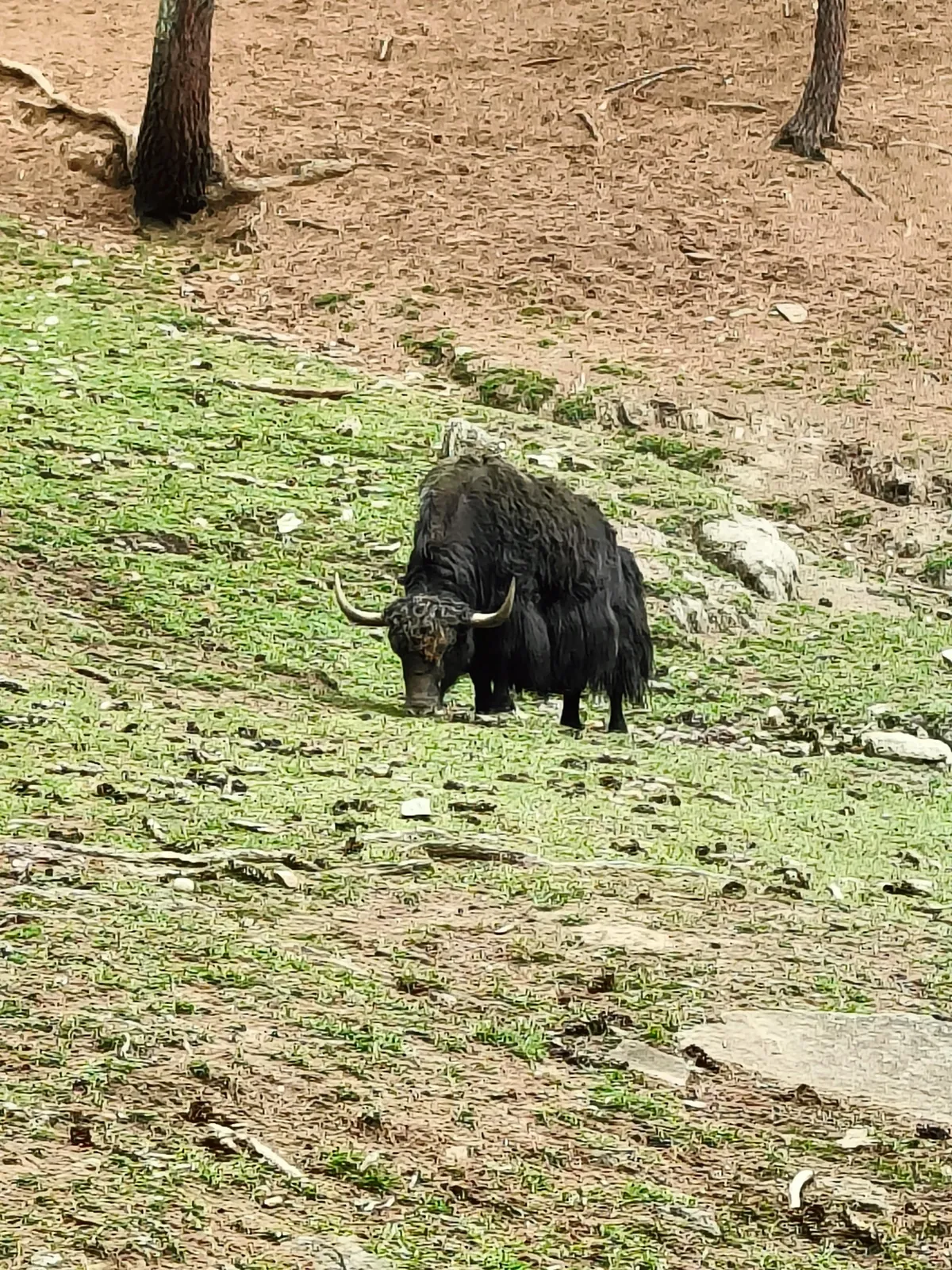 Bhutan, the country that changed my perspective towards life...