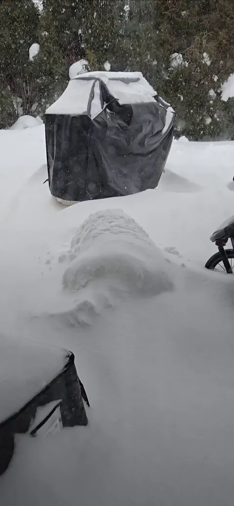 Big Snowstorm today ! Best day for a long nap outside!