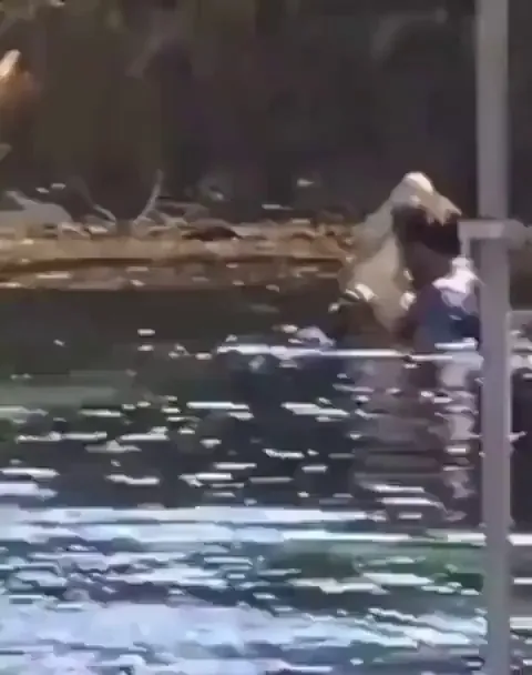 Well they are both in love I see.