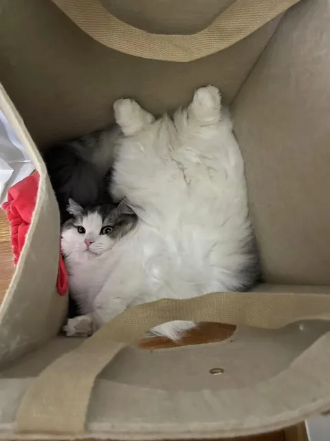 How she actually do that LOL.