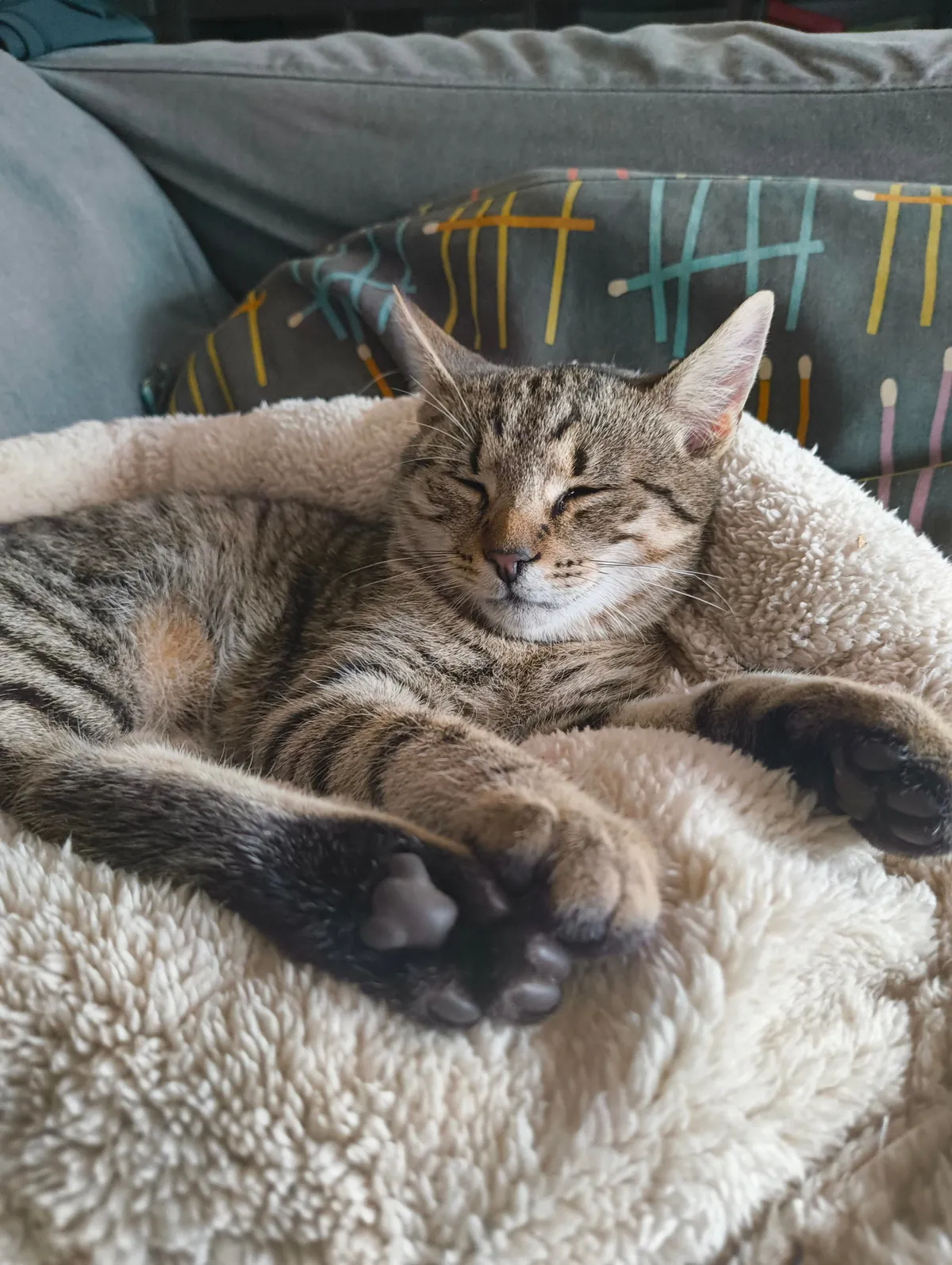 Update 2: The cat still comes back!