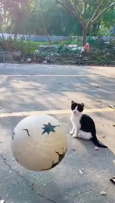 Boing, boing, boing...