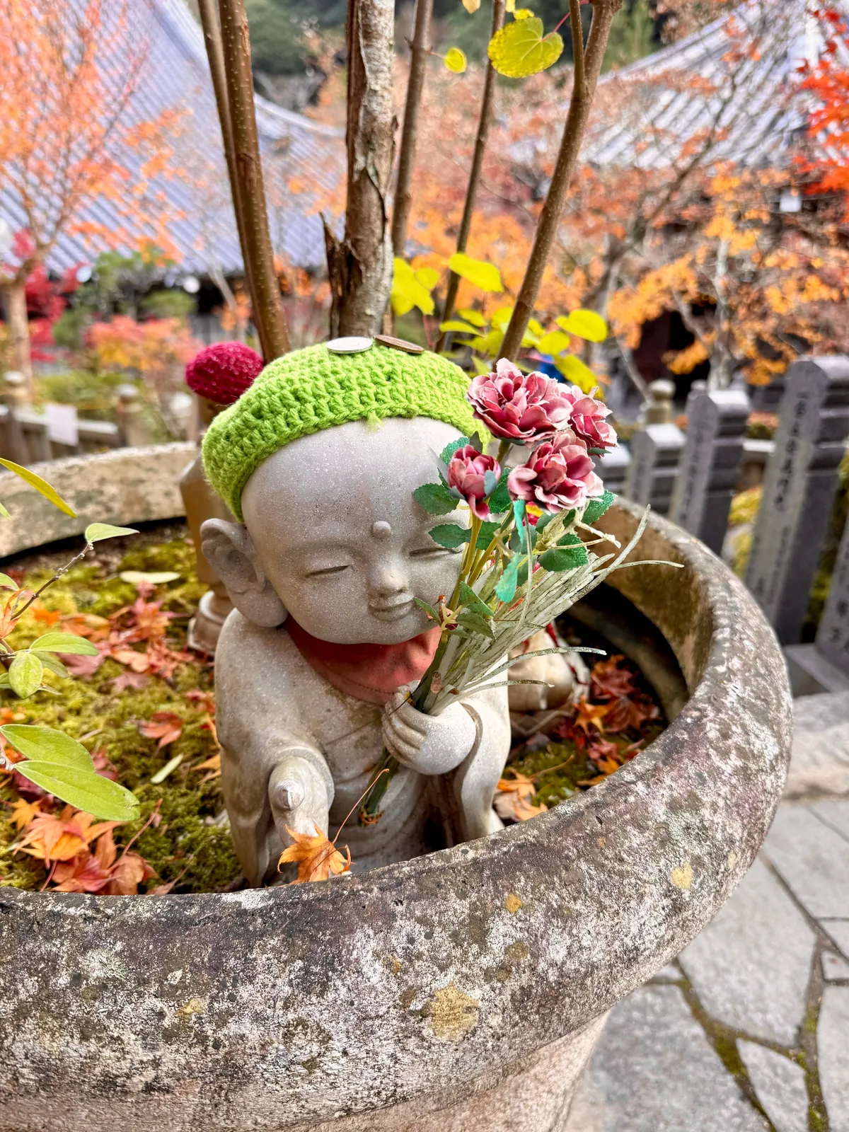 Japan in fall 🍁⛩️🚴‍♀️