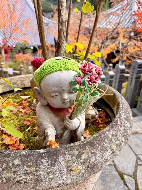 Japan in fall 🍁⛩️🚴‍♀️