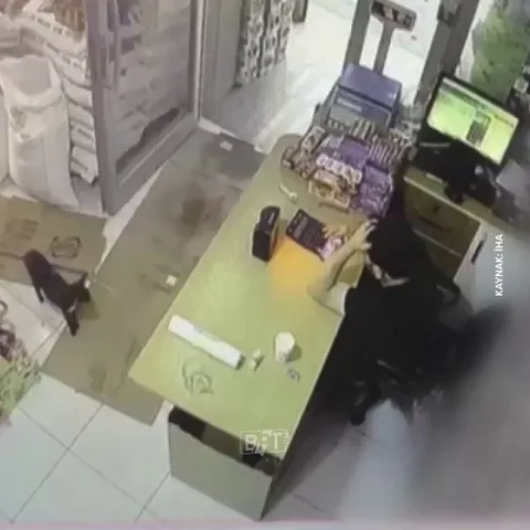 Turkish cat pushes the box and hides — Guy thinks it moved on its own and gets frightened