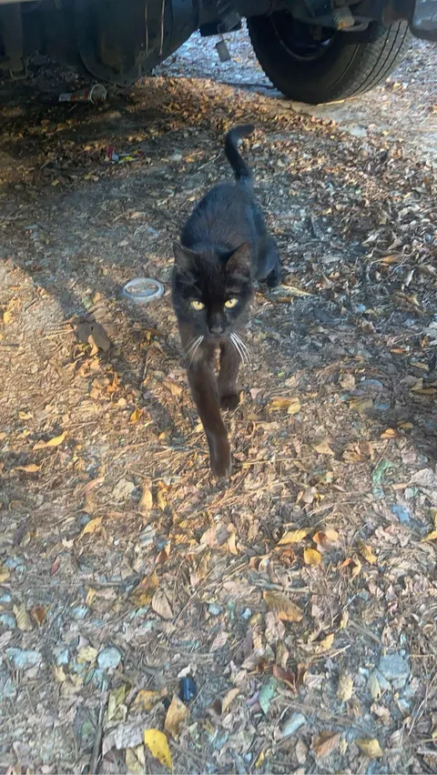 R.I.P. Skittles, he made it to 25 years of age!