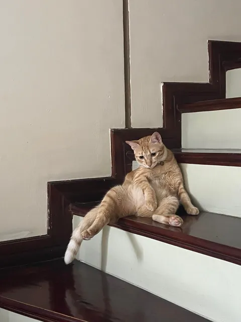 My roommate is unemployed and has a bad posture, roast him