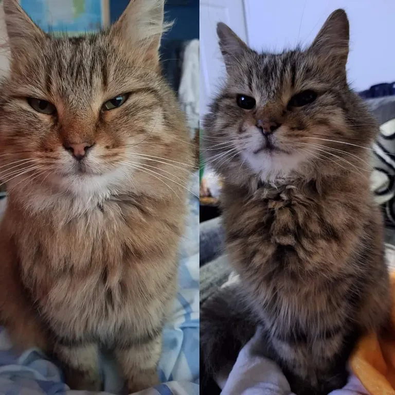 5 years later, a little greyer, but still as handsome as ever