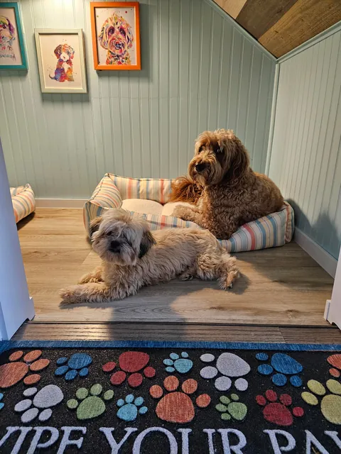 Understairs Doghouse