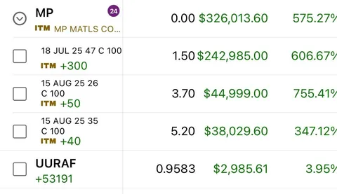 My overall portfolio gain on minerals investing. It pays to have conviction! (Multi-million gain)