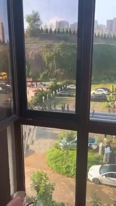 A single cicada can reach sound levels of around 90–107 decibels