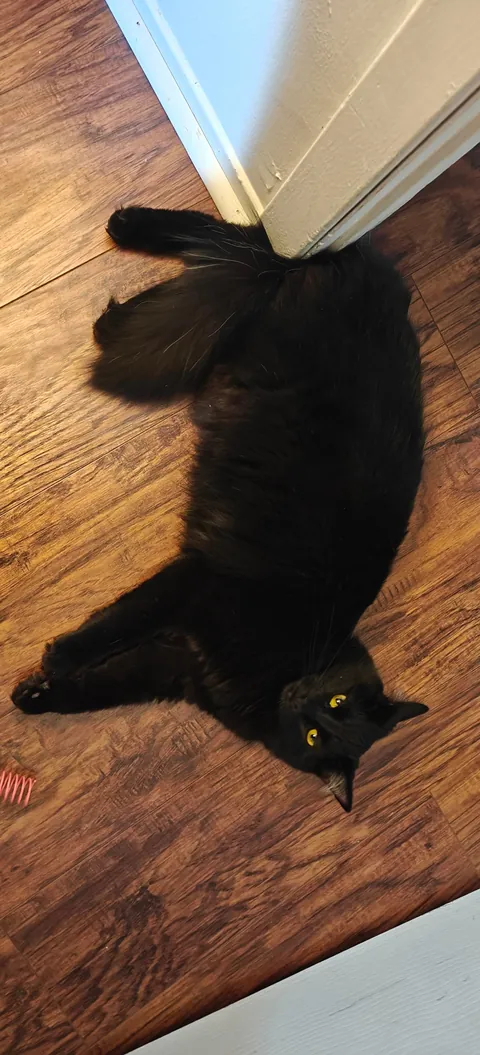 She just entered my life 🖤