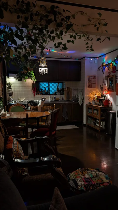 My first place after moving out of my parents. I'm so happy with it :)