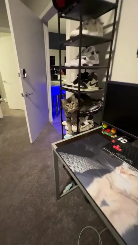 Not a single thought behind those eyes