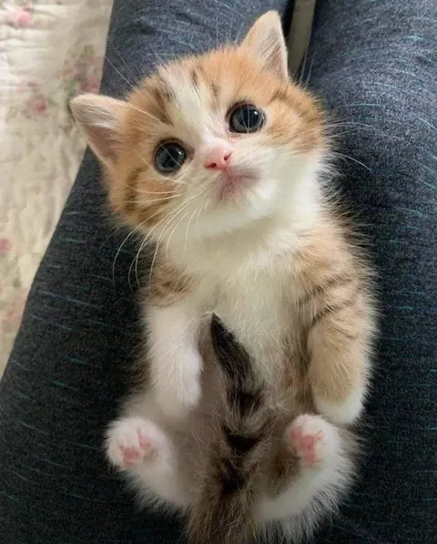 “Look at me mommy”