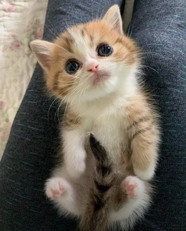 “Look at me mommy”