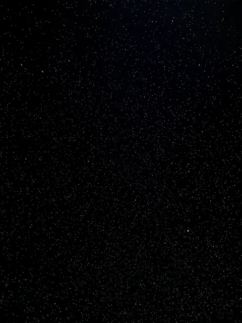 A picture I took with my phone :)