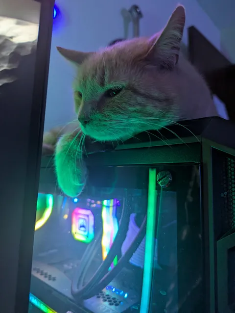 Look at him, actively removing my frames