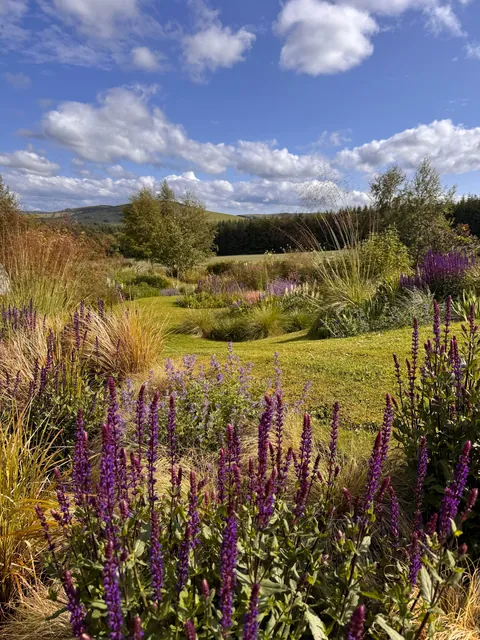 My Scottish Garden