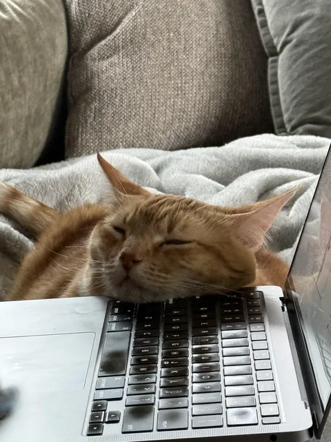 Over Employed Data Analyst