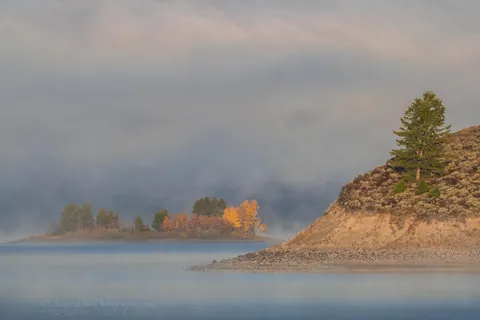🔥Foggy Landscapes