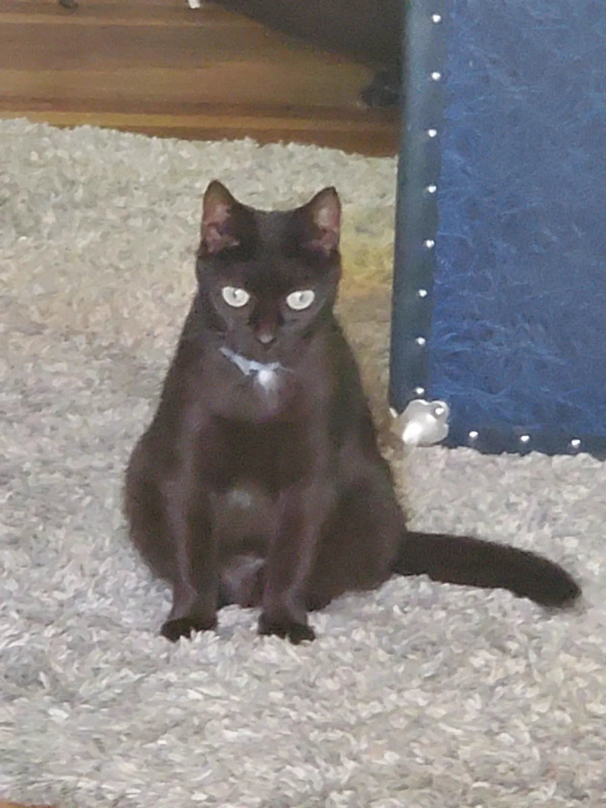 everyone says that she looks weird :(