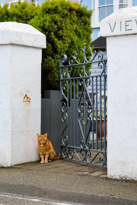 Cozy autumnal Wales 🏴󠁧󠁢󠁷󠁬󠁳󠁿