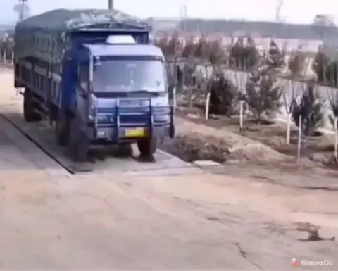 Stay for the dismount