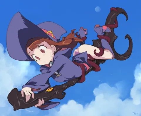 Just got a new broom, not sure it it's a feature or a bug