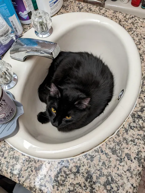 I'm overdue to share my baby, Nessa