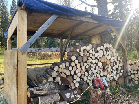 Made a wood shed while i sawed &amp; and stacked today - took about 9 hr