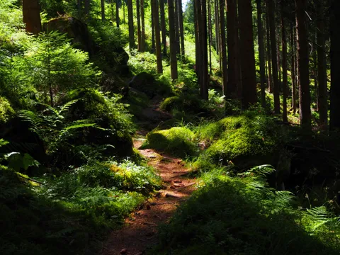 I tried to work with the light but am not sure if I succeeded in making the picture interesting.