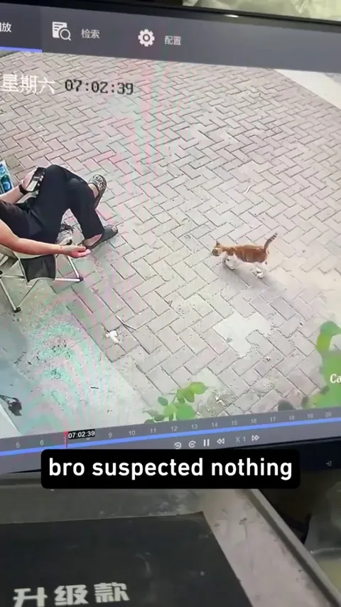 Professional theif. Smooth criminal.