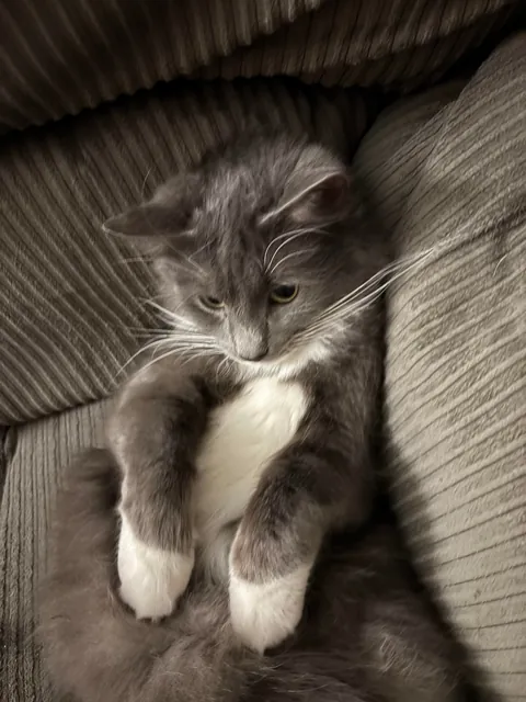 I was told greys aren’t pretty. She says otherwise.