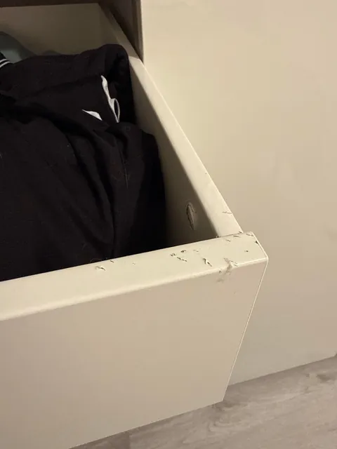 I left my cat in my IKEA drawer closet for almost 6 hours and feel so guilty.