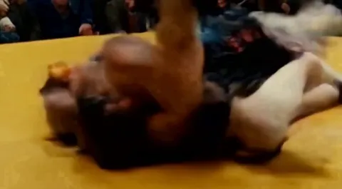 AI Sports: Boxing Edition