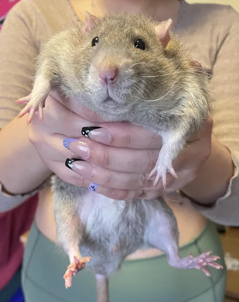 He refuses to take his meds SHAME HIM