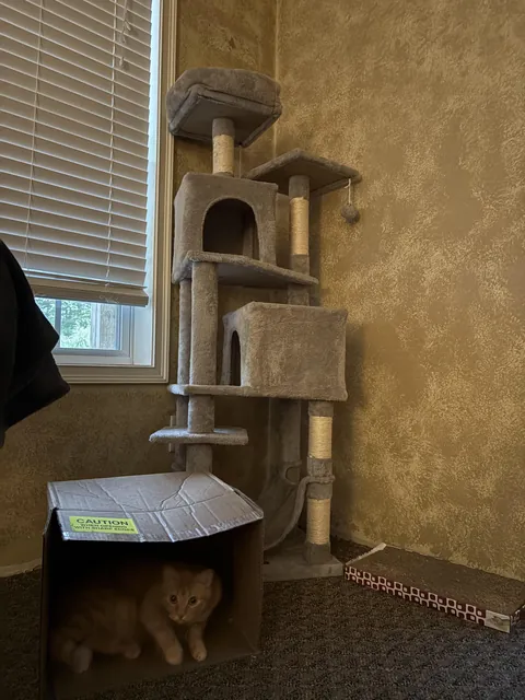 I knew he was gonna love it!