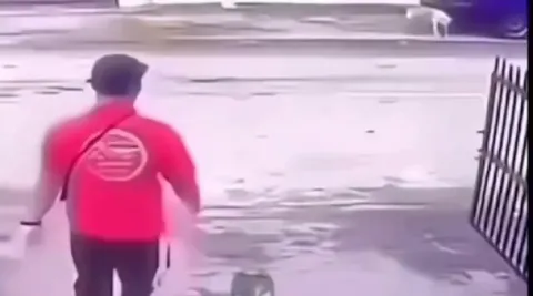 How to survive a dog attack in 8 seconds😂