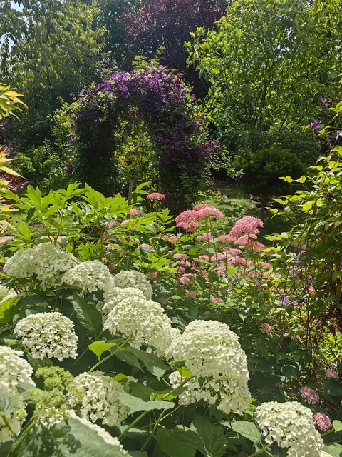 My garden in Serbia part 3