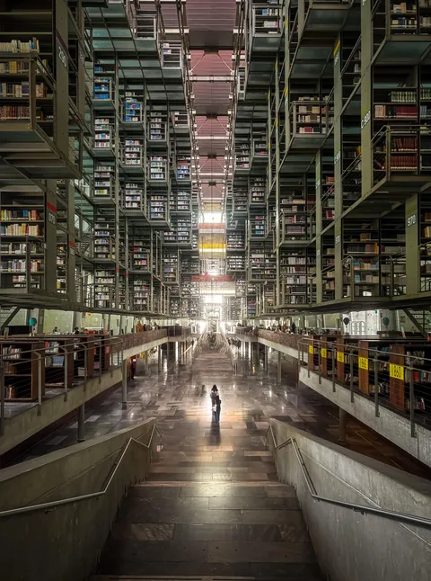 Mexico City, Library