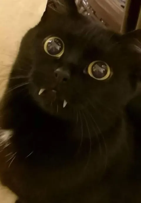 Could she be a vampire?