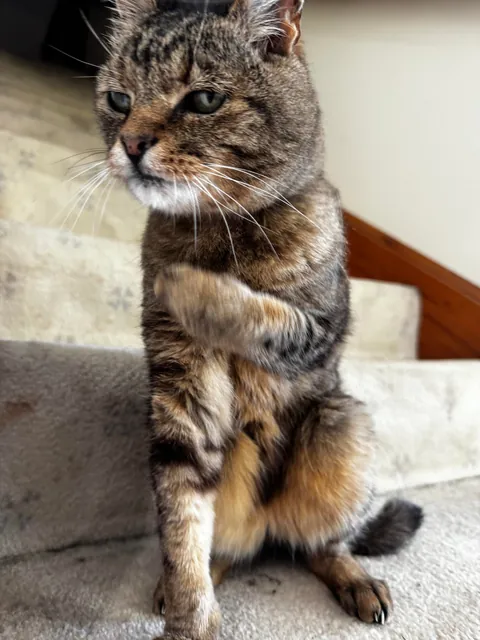 Leo turned 20 today! 🎉🎉🎉