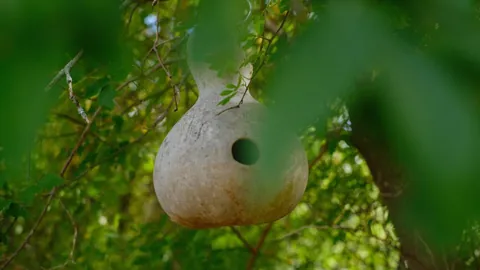 Love me a September stroll through the gardens