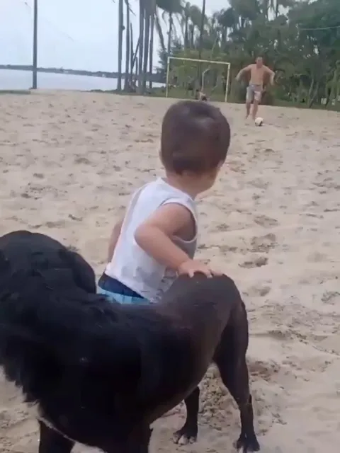 Dog supporting his best friend in his first steps.. 🙏