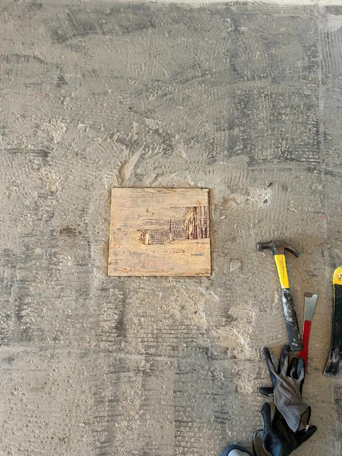 What the heck is this?