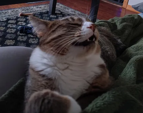 Derpiness intensifying 