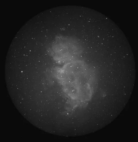 Nightvision with a 16 inch dob and 85mm refractor and iPhone